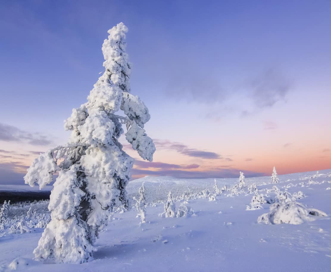 Verschneite Schneelandschaft