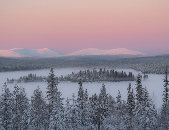 Landschaft Tannen Schnee