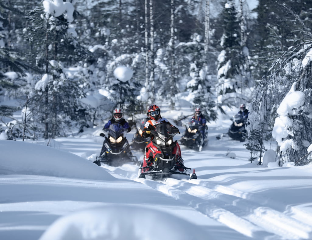 Schneemobile Wald