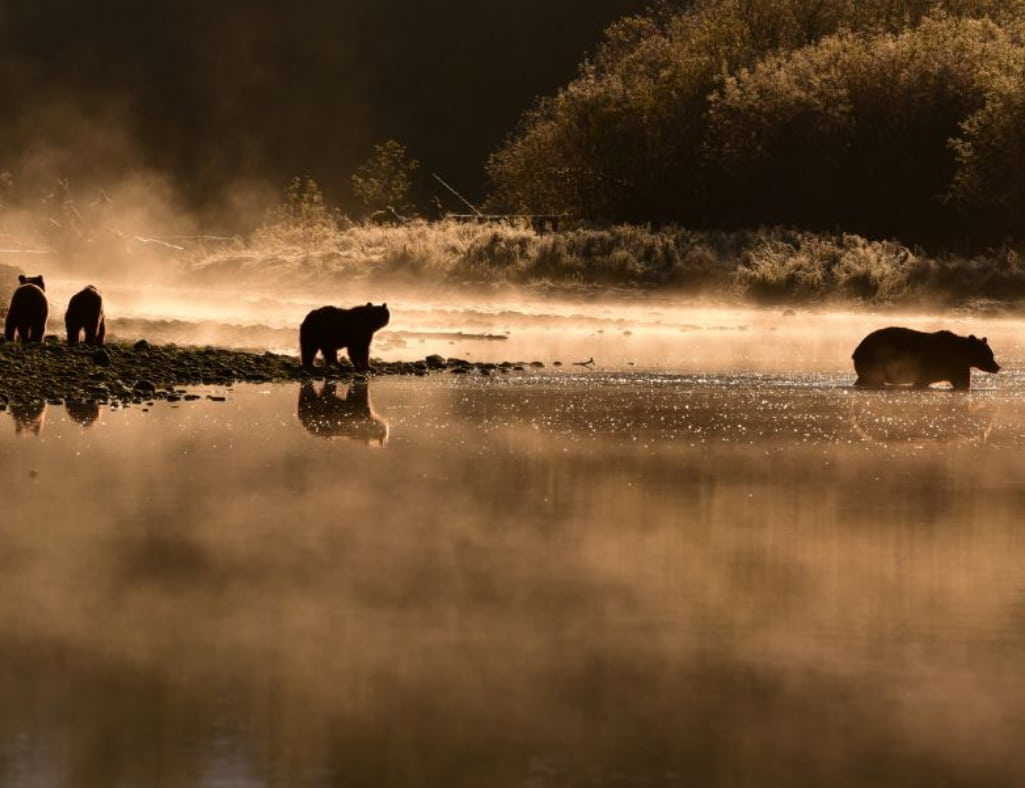 Baer Fluss Sonnenuntergang