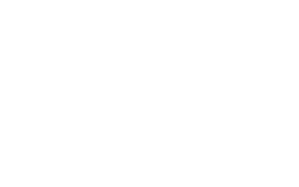 Arktis Tours - Große Schiffe