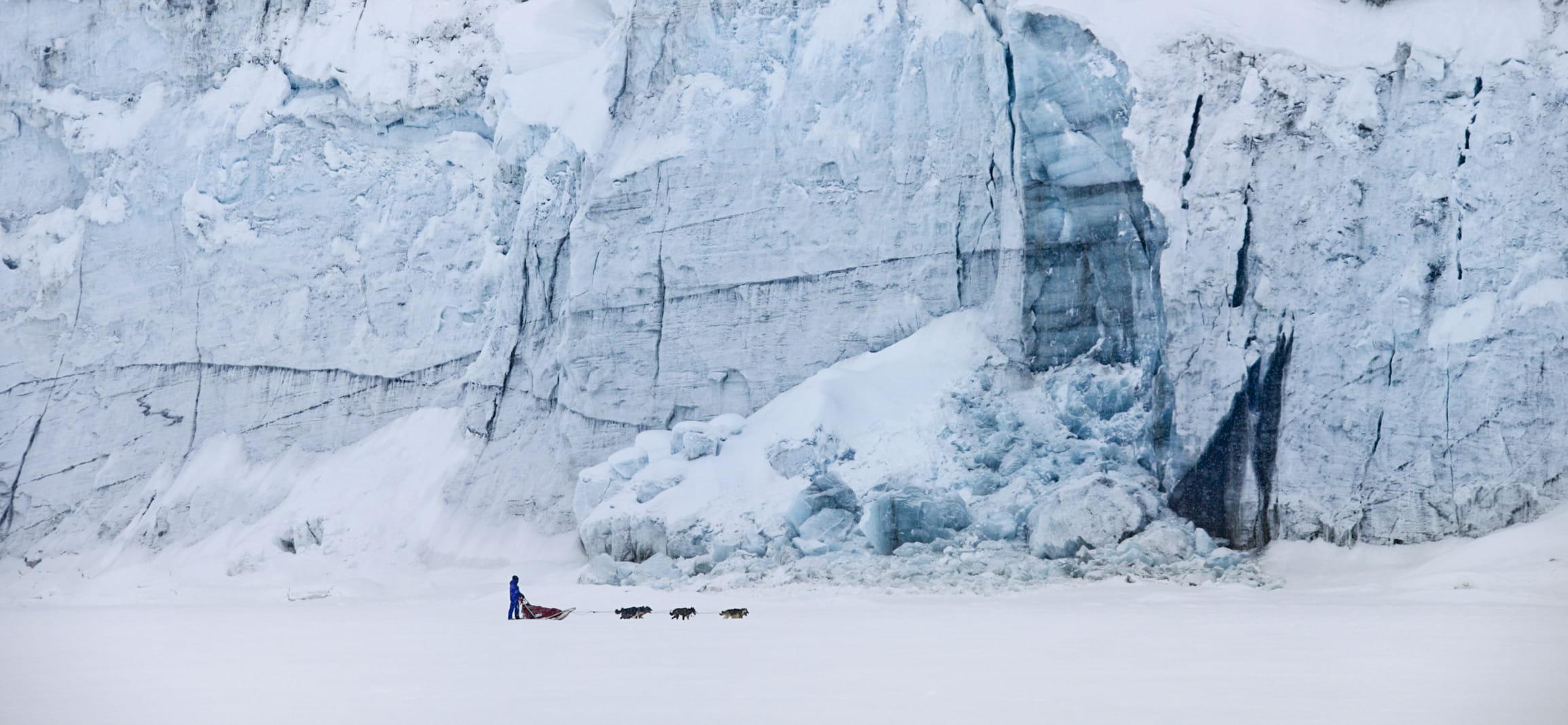 Hundeschlitten Gletscher
