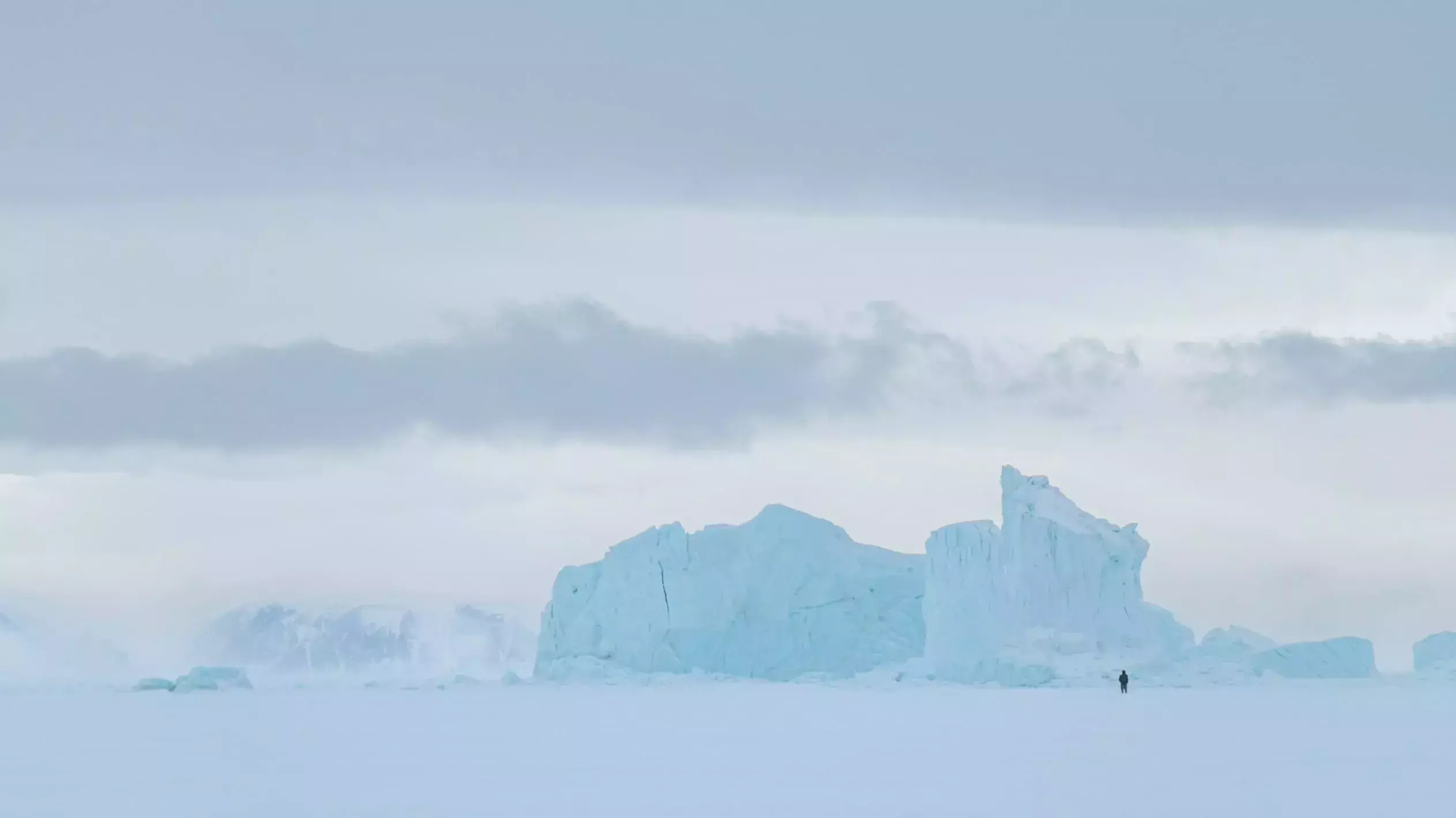 Arktis Tours - Grönland Imagebild