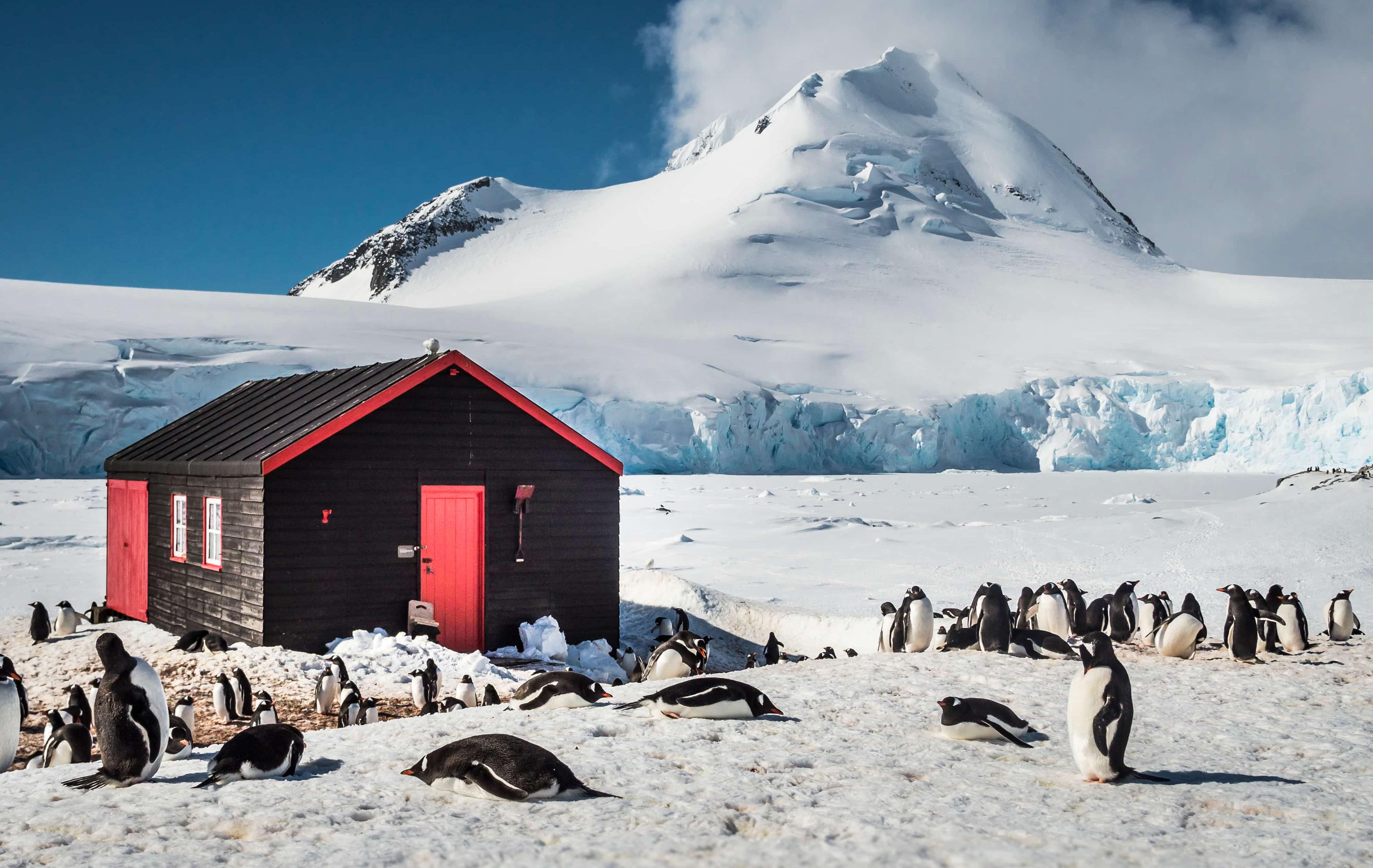 Arktis Tours Antarktis Entdecken & Kennenlernen Expeditionskreuzfahrt Port Lockroy