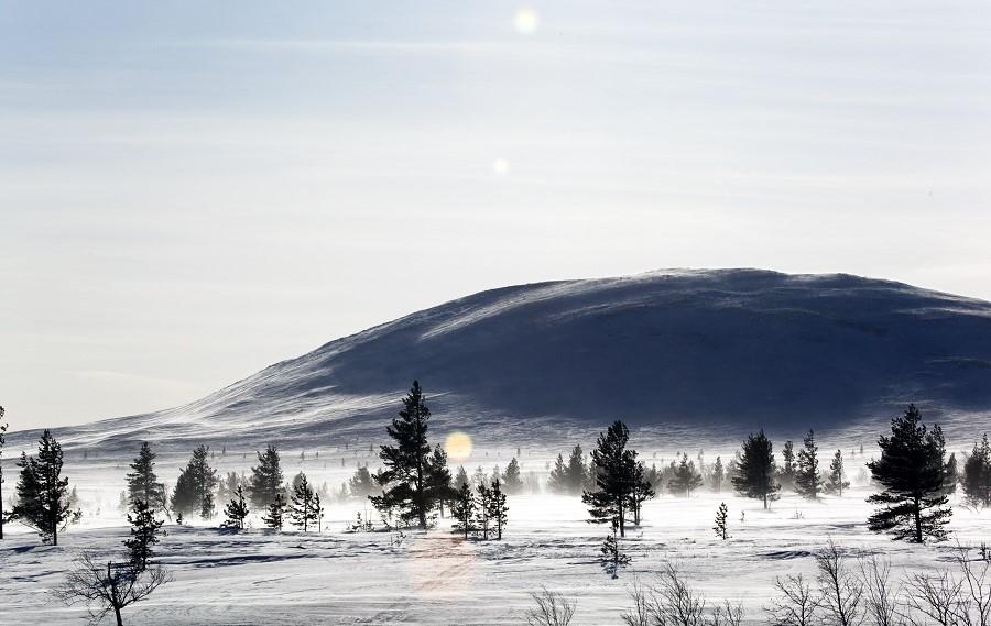 Arktis Tours Finnmark