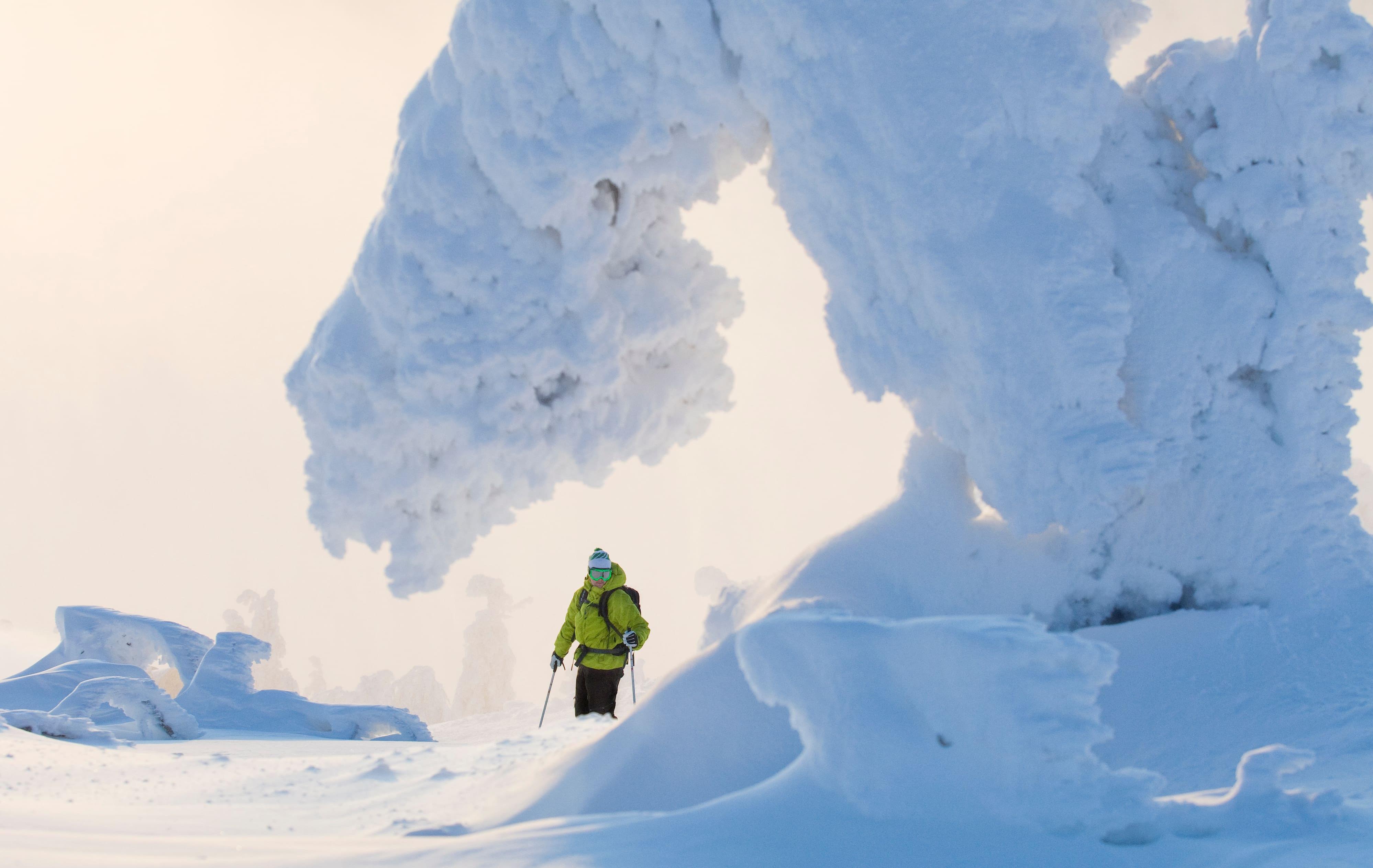 Arktis Tours Stille aus Eis & Schnee - Jávri Lodge Winterexklusiv Langlaufen in Finnland
