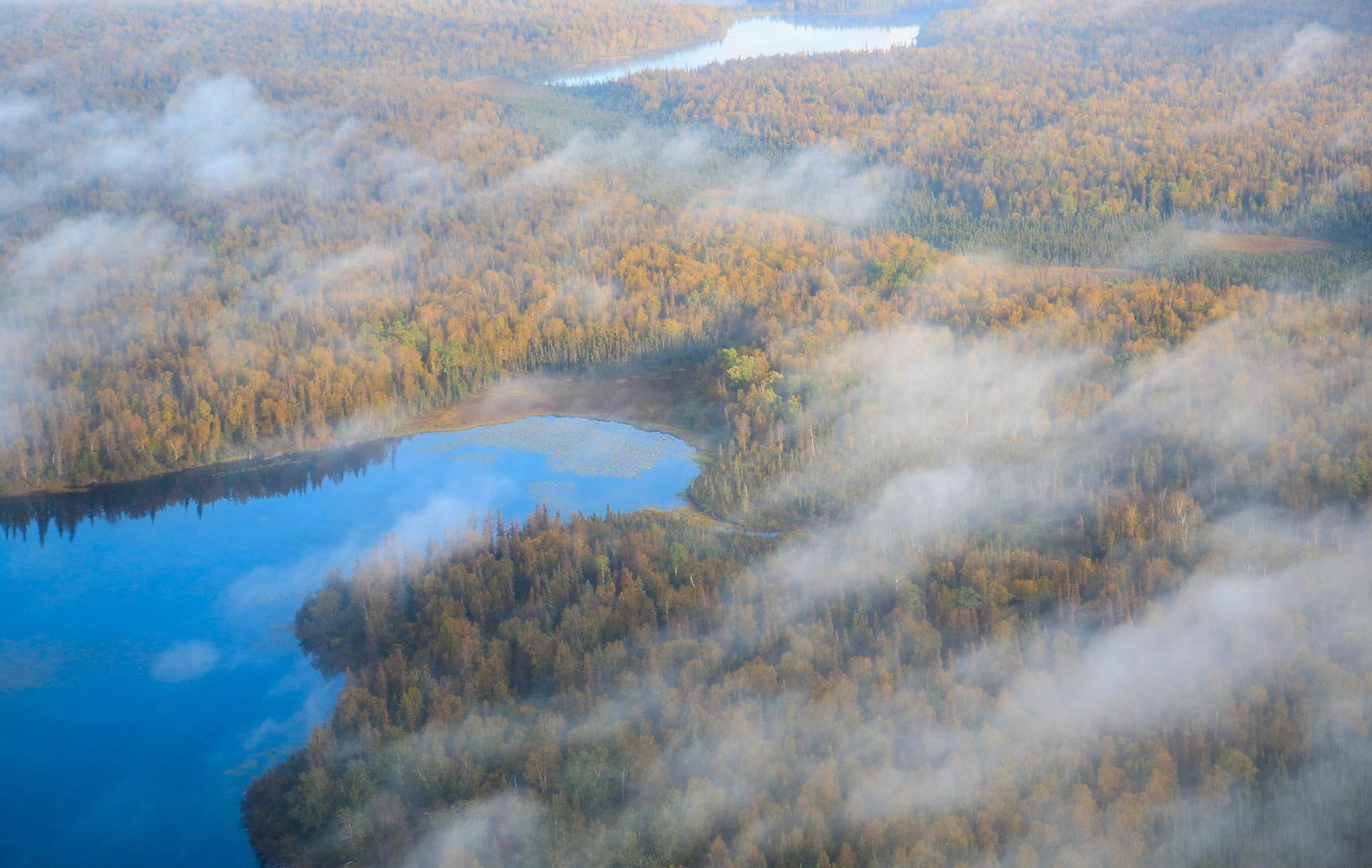 Alaska – Kreuzfahrt durch majestätische Fjorde - Luftaufnahme, bewaldete Landschaft mit blauem See