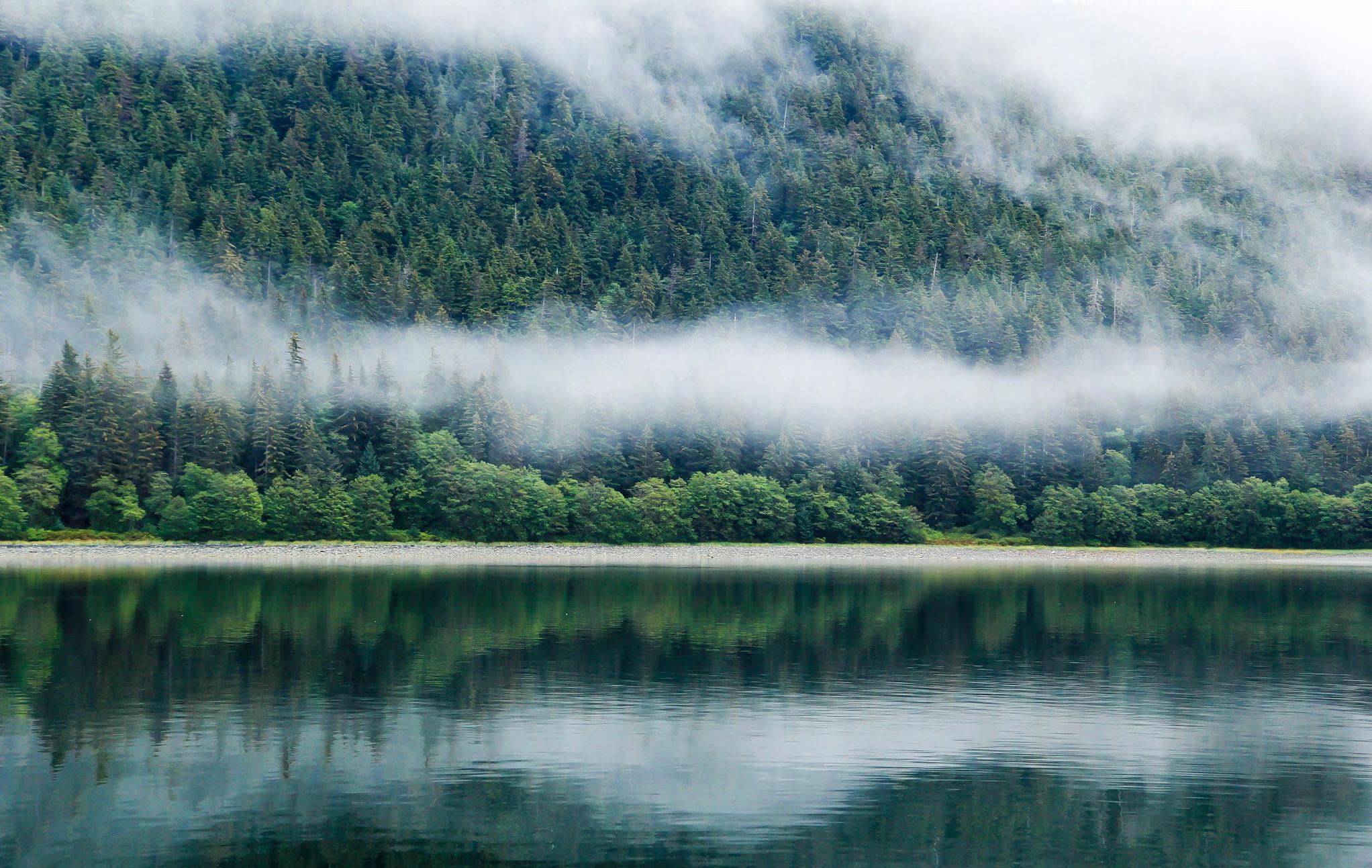 Alaska – Kreuzfahrt durch majestätische Fjorde - Nebelschwaden ziehen über einen Bergwald