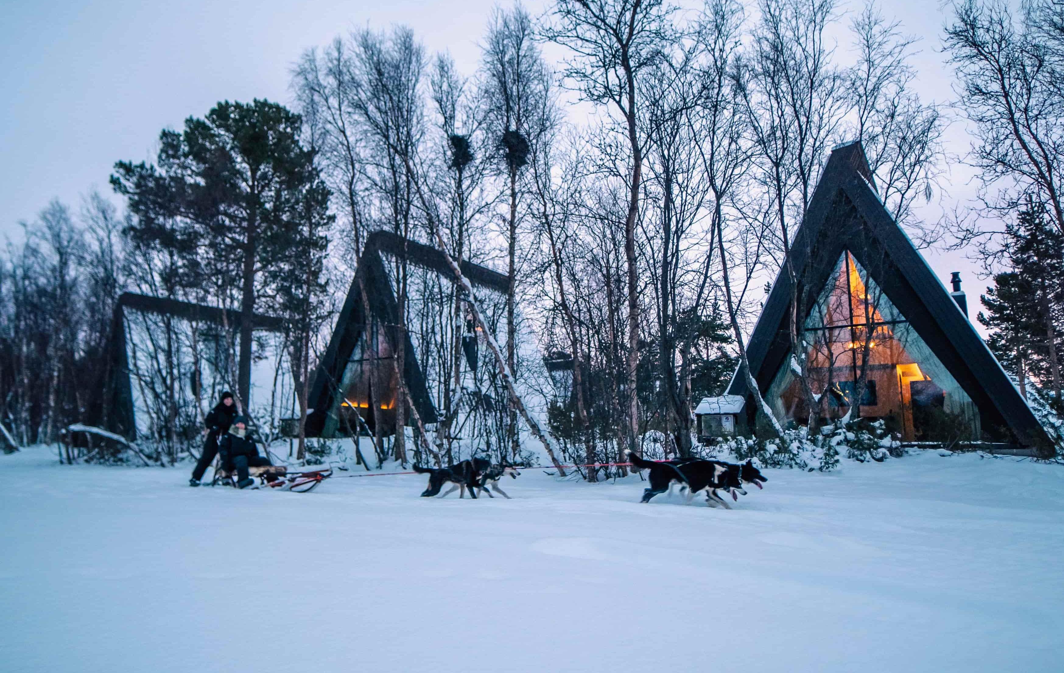 Arktis Tours Nordnorwegen: Natur, Genuss & Polarlicht in Alta