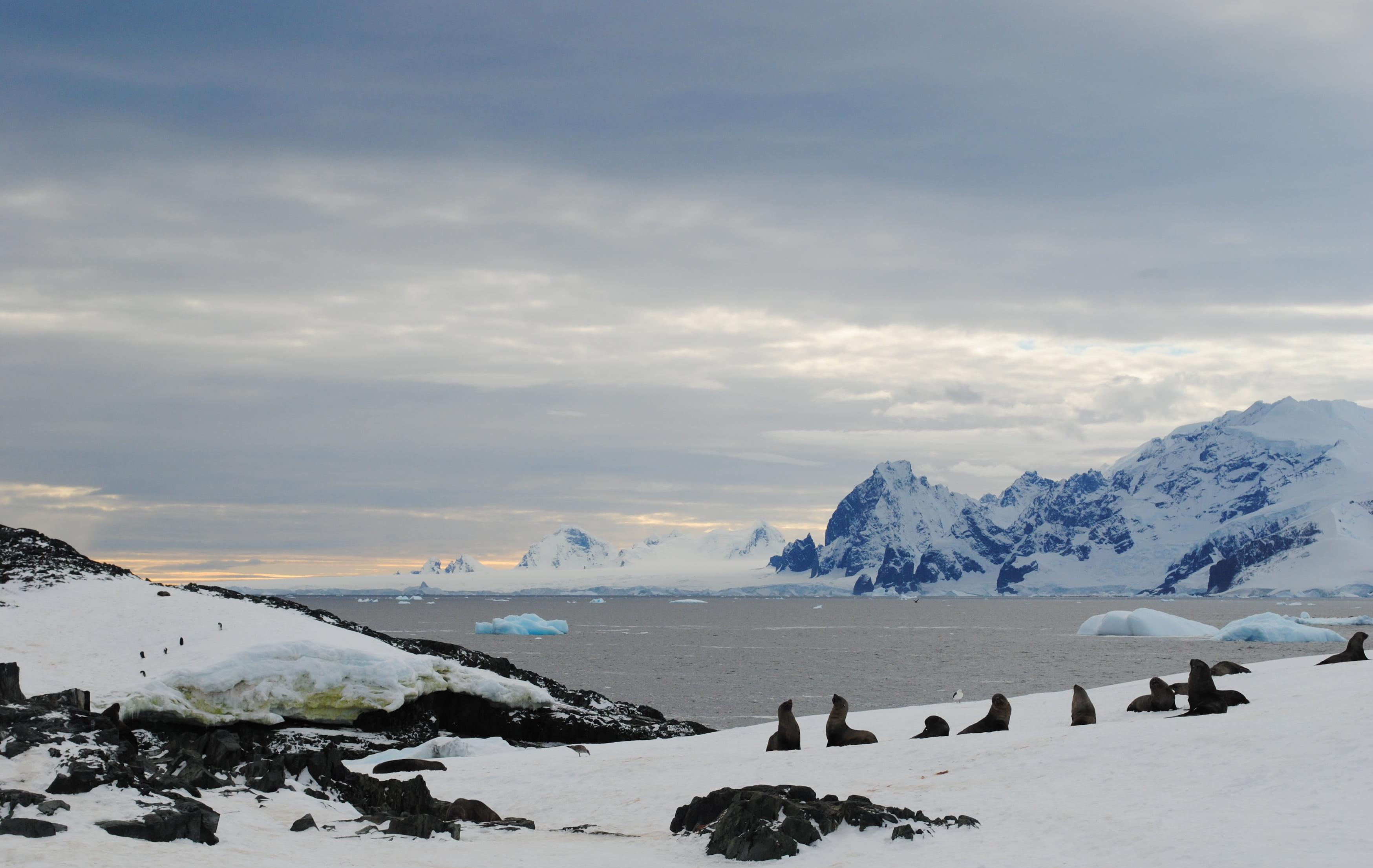 Arktis Tours Südpolarkreis & Antarktis – Expedition jenseits der Grenzen