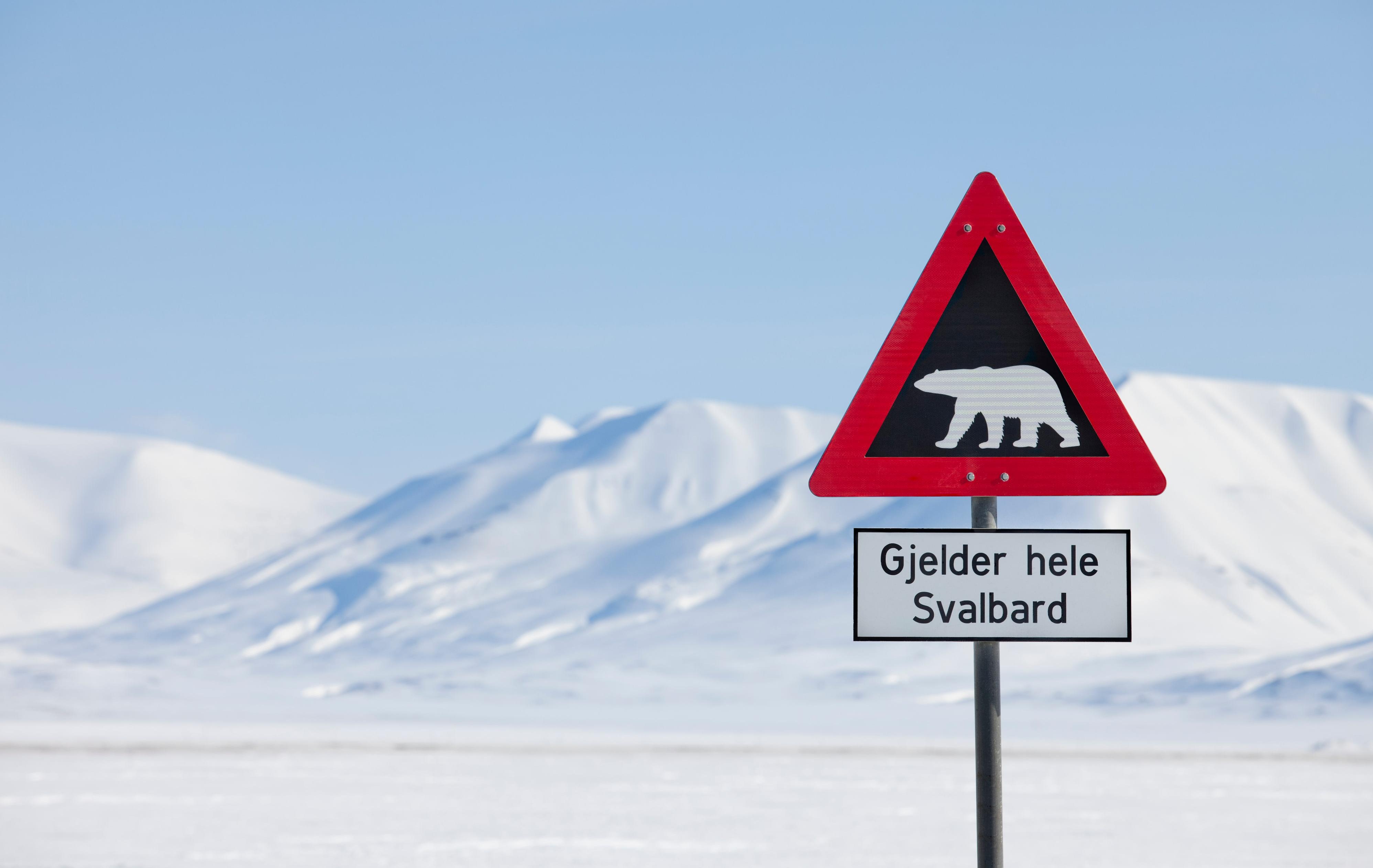 Arktis Tours Grenzgang im Eis: Snowmobil-Expedition West-Spitzbergen - Eisbären Warnschild am Ortsausgang von Longyearbyen