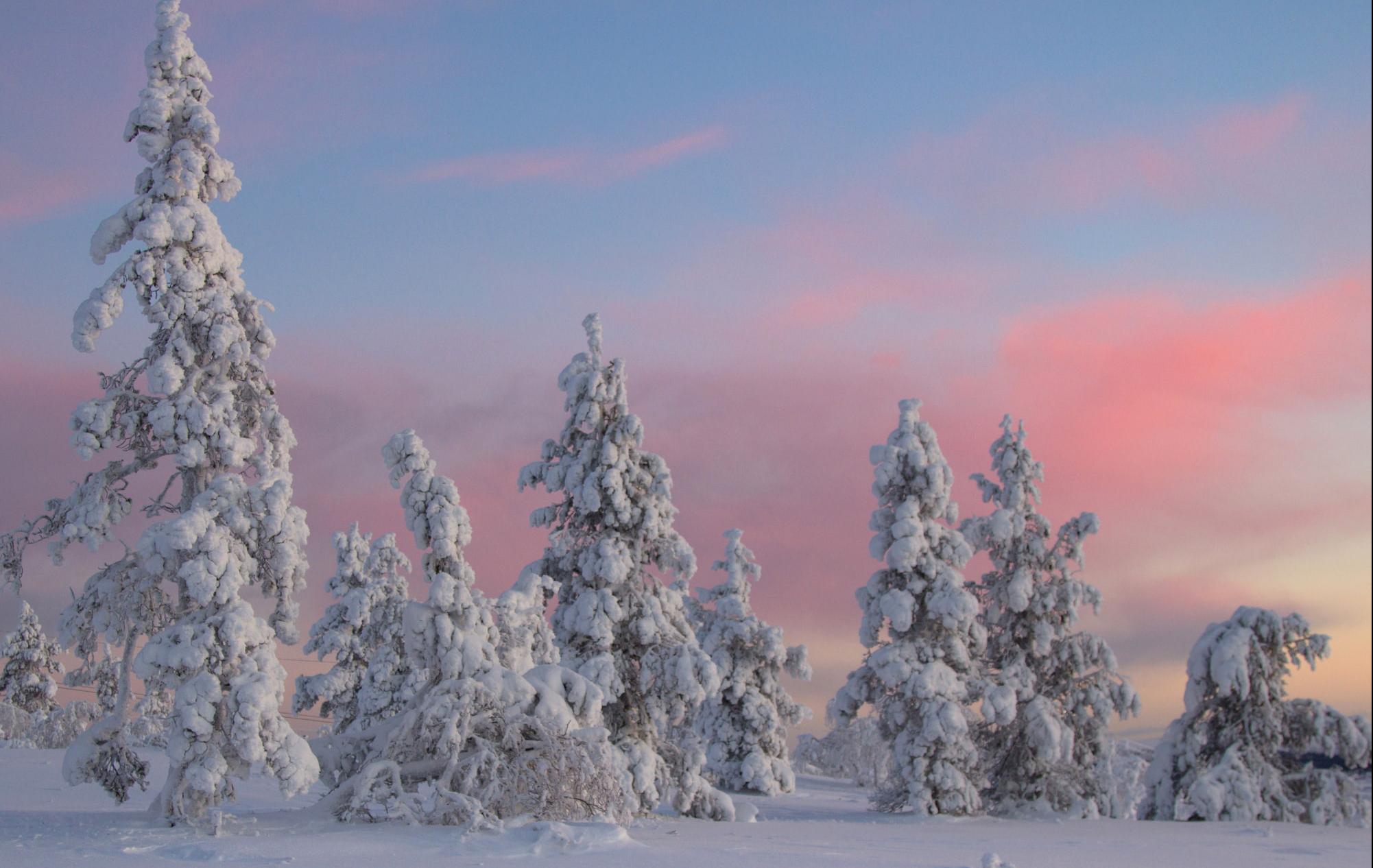 Arktis Tours Stille aus Eis & Schnee - Jávri Lodge Winterexklusiv Winterlandschaft mit Himmel in Pink und Blau