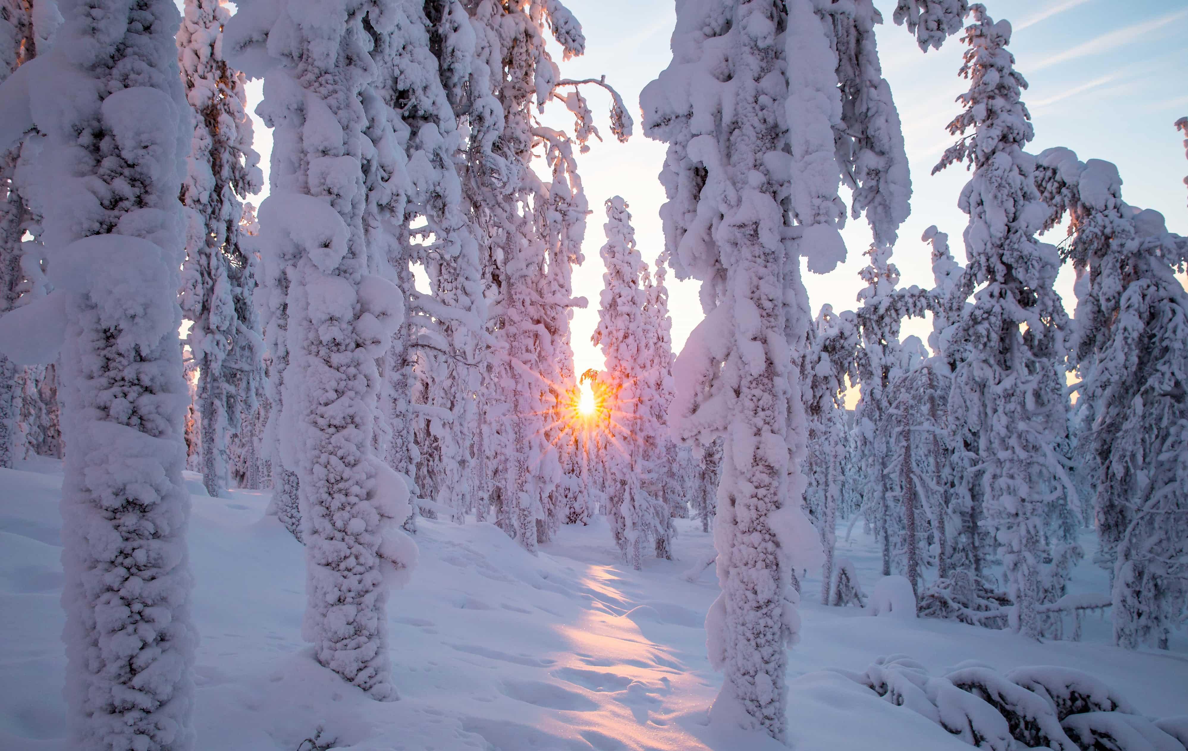 Arktis Tours Wilderness Hotel Muotka finnische Winterlandschaft