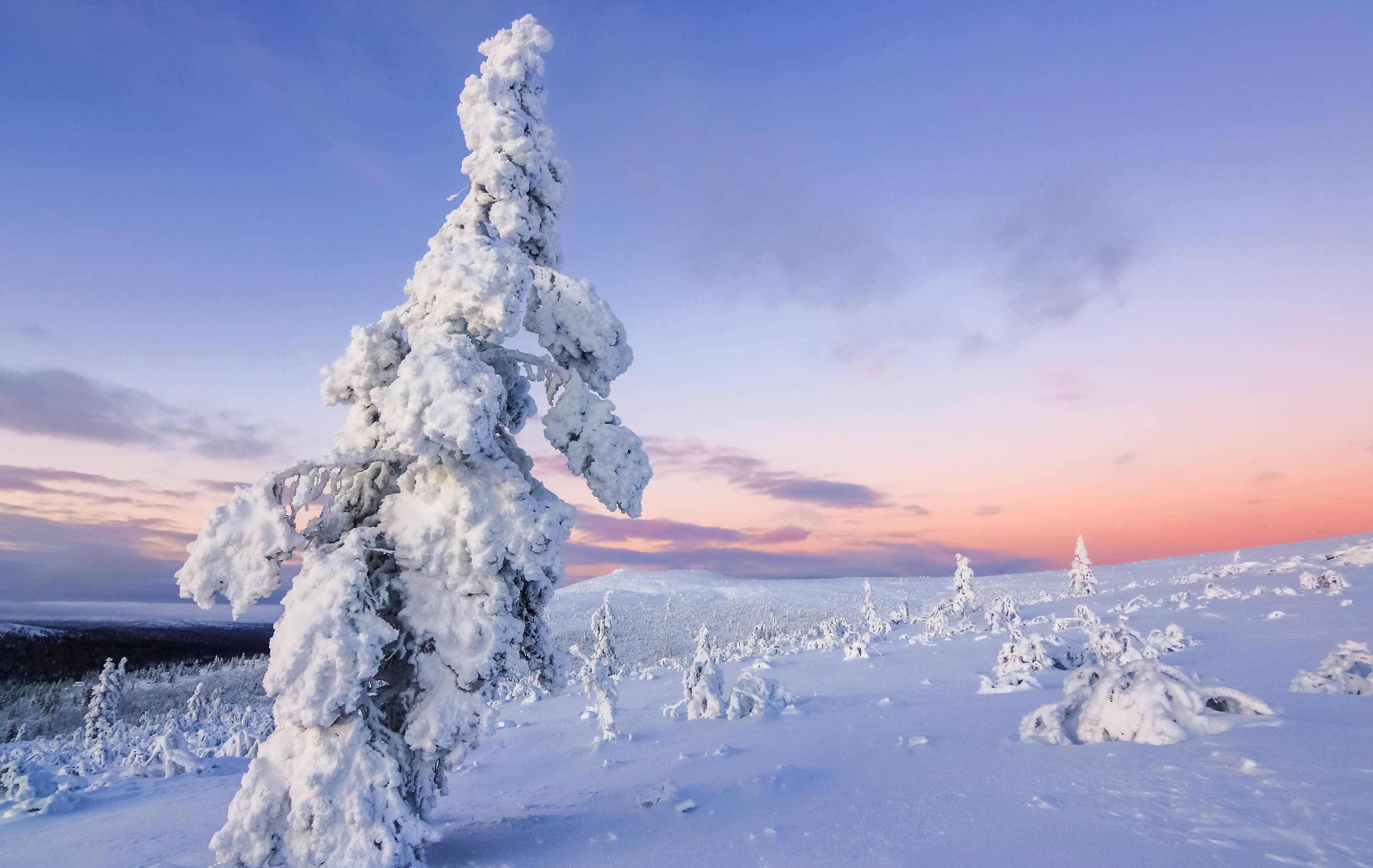 Arktis Tours Stille aus Eis & Schnee - Jávri Lodge Winterexklusiv