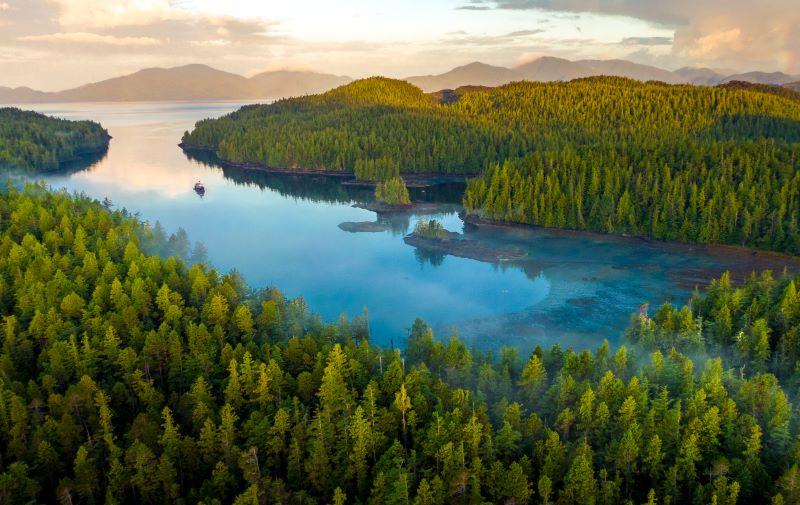 Arktis Tours Great Bear Rainforest