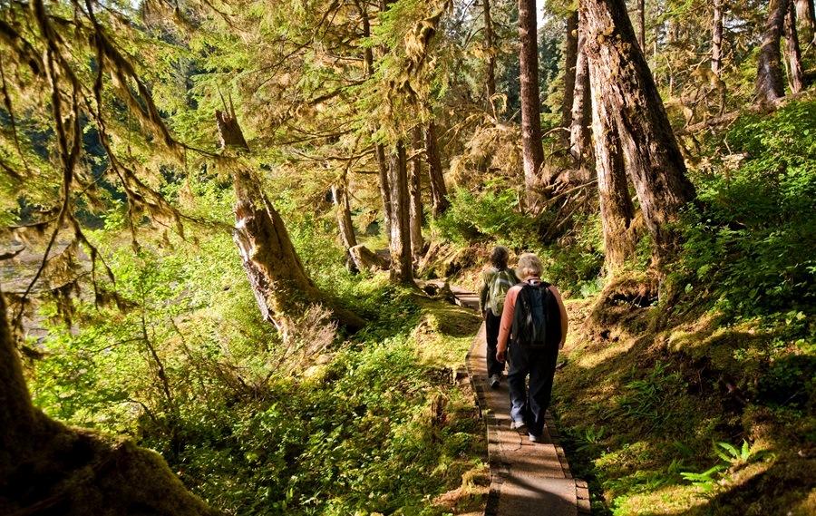 Alaska – Kreuzfahrt durch majestätische Fjorde - Wanderung durch grünen dichten Wald