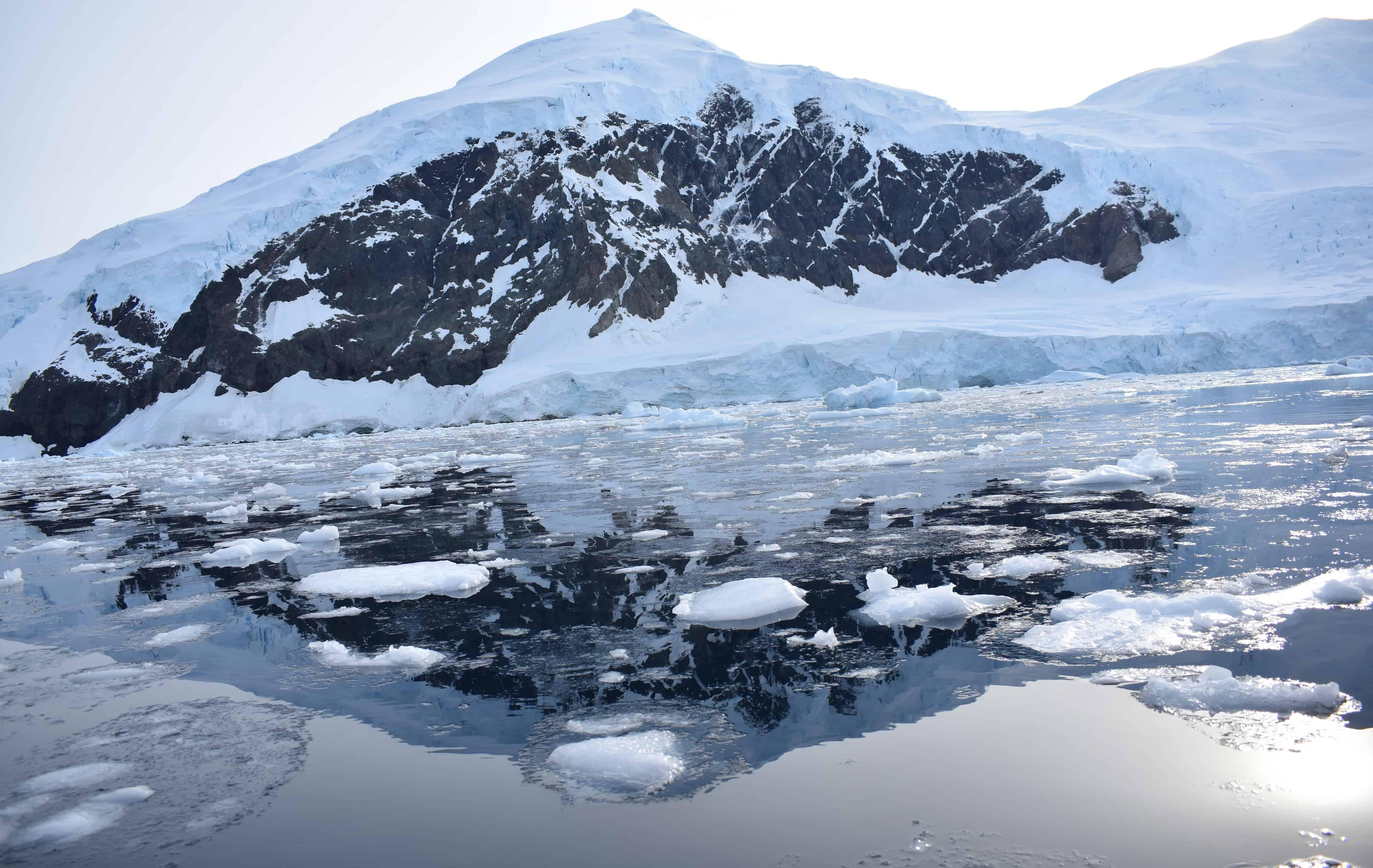 Arktis Tours - Basecamp-Antarktis: Aktivexpedition ins ewige Eis - Spiegelungen in Neko Harbour