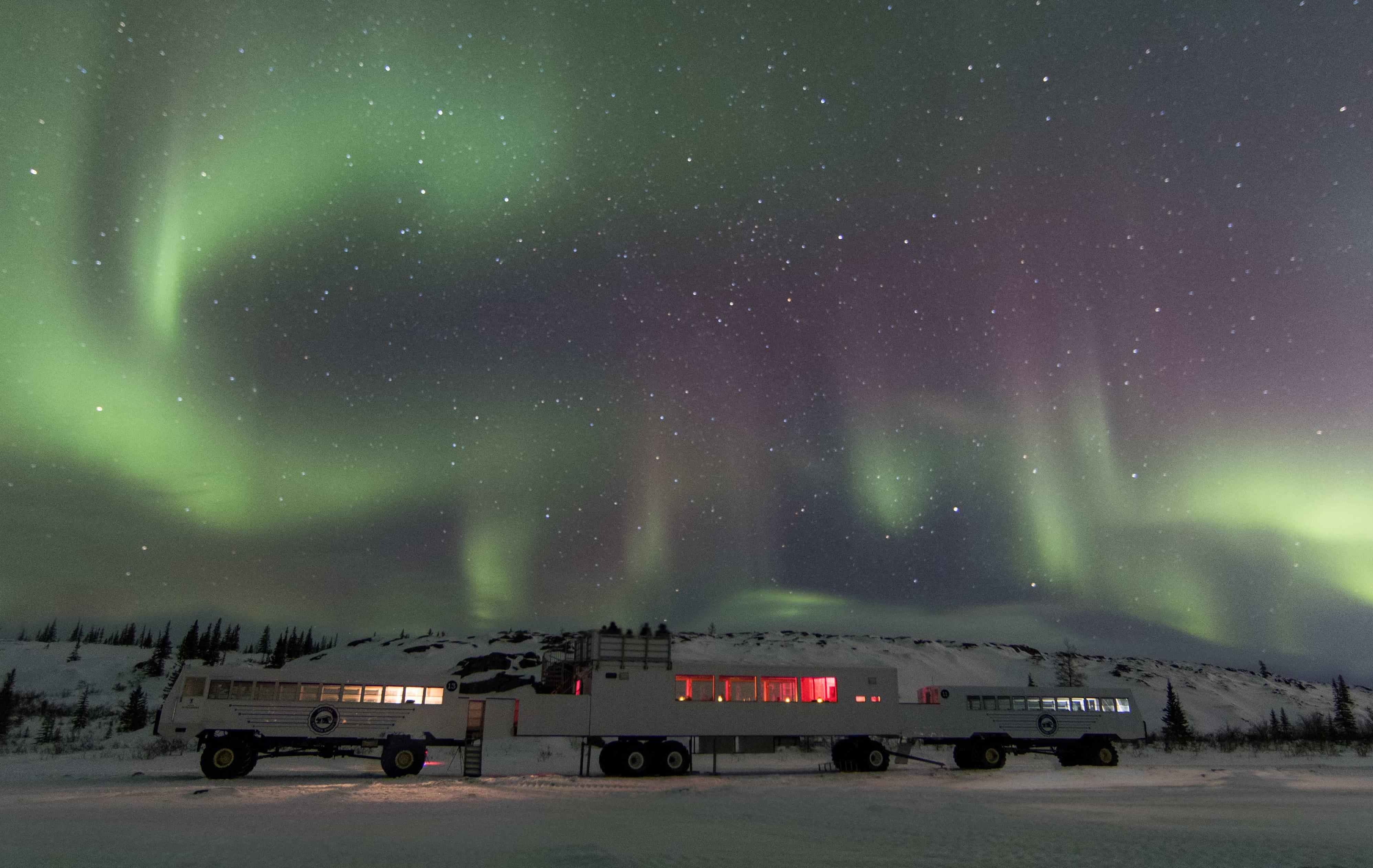 Arktis Tours Im Reich der Eisbären – Expedition an der Hudson Bay Nordlich