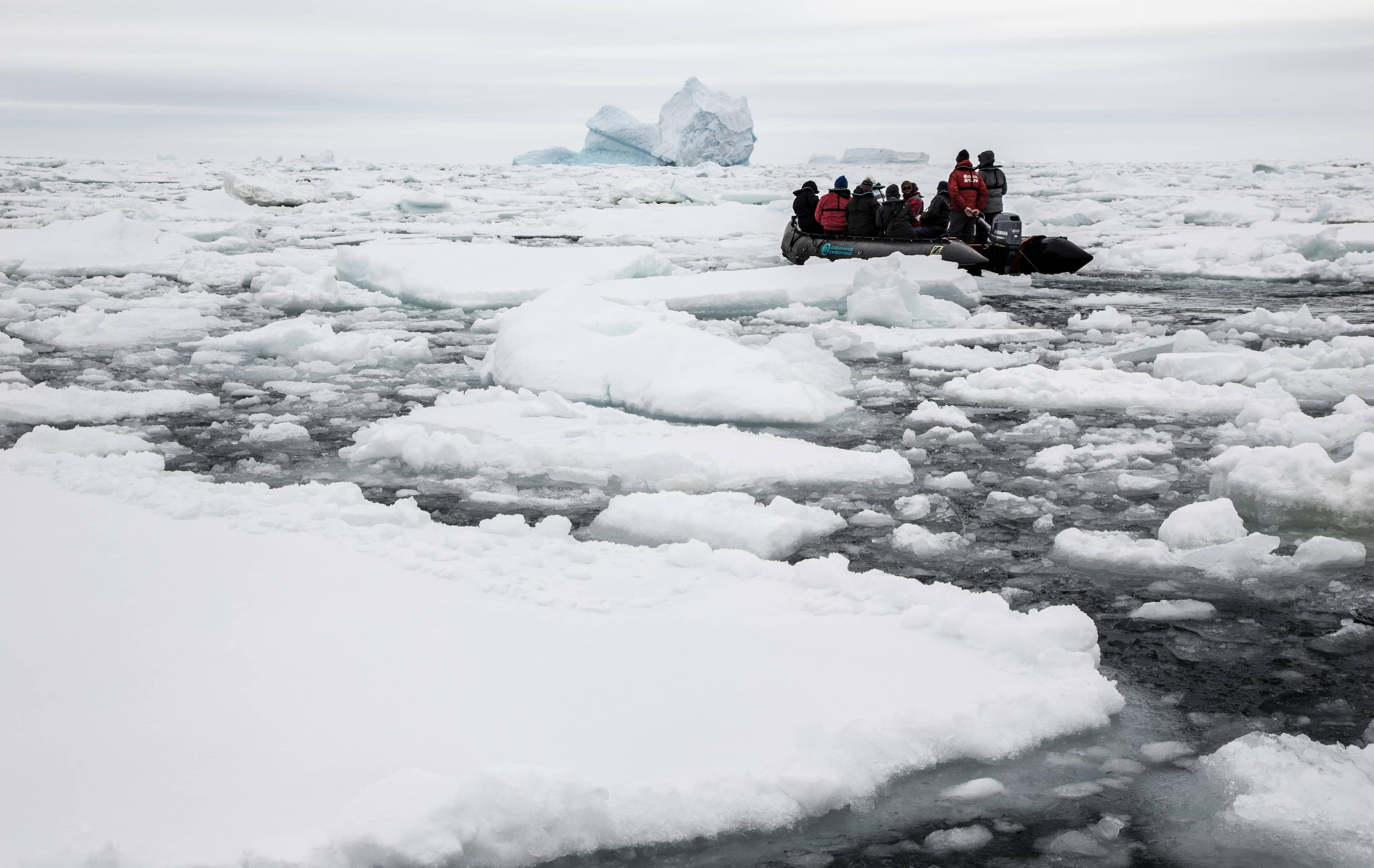 Arktis Tours - Expedition Weddellmeer & Larsen Ice Shelf - Mit dem Zodiac durchs Packeis