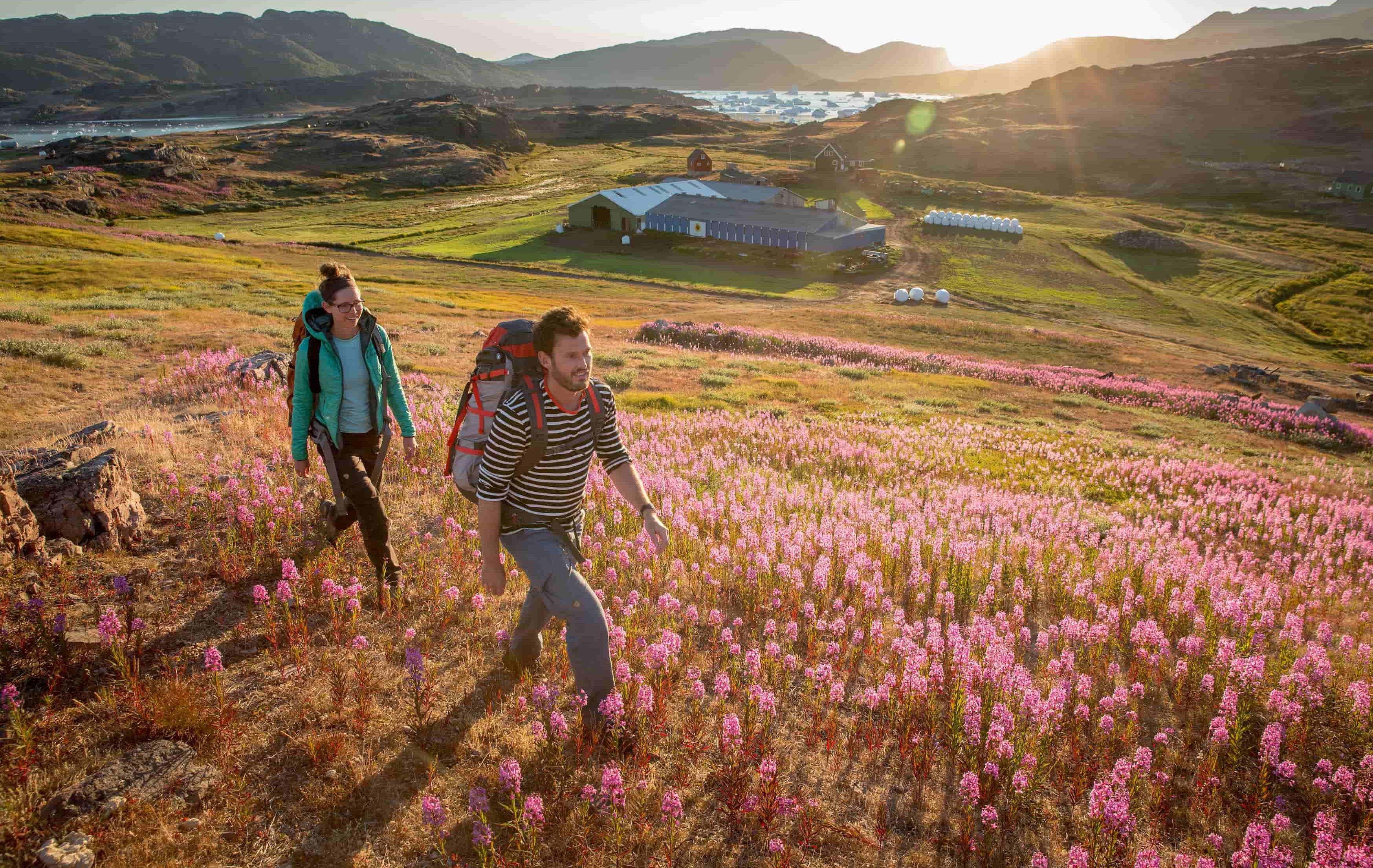 Arktis Tours - Zwischen Eisbergen und Quellen – Grönlands Südosten - Südgrönland
