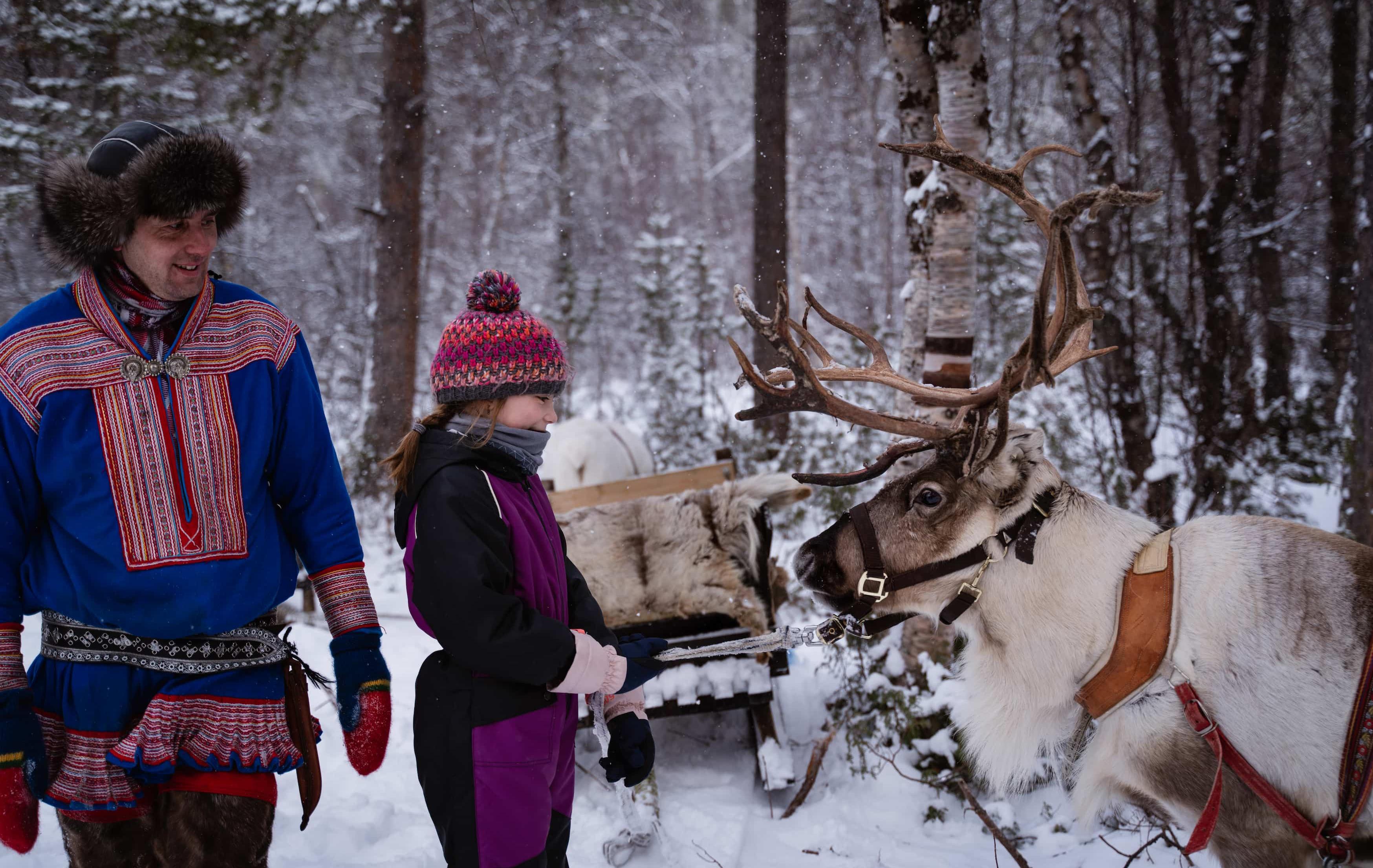 Nordnorwegen: Natur, Genuss & Polarlicht in Alta - Erlebnisse mir Rentieren