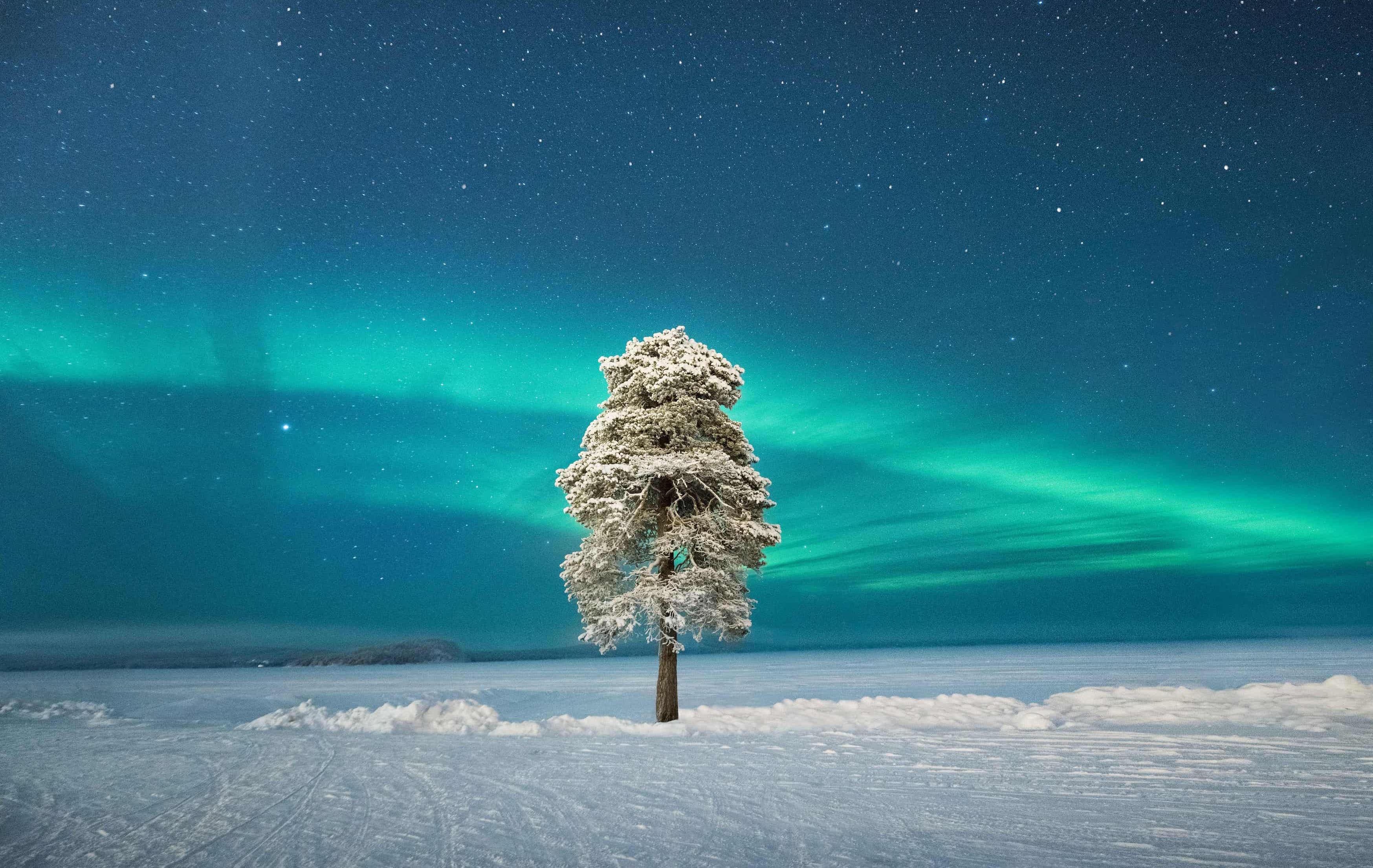 Aurora & Abenteuer am Inarisee: Winteraktivitäten pur - Polarlicht