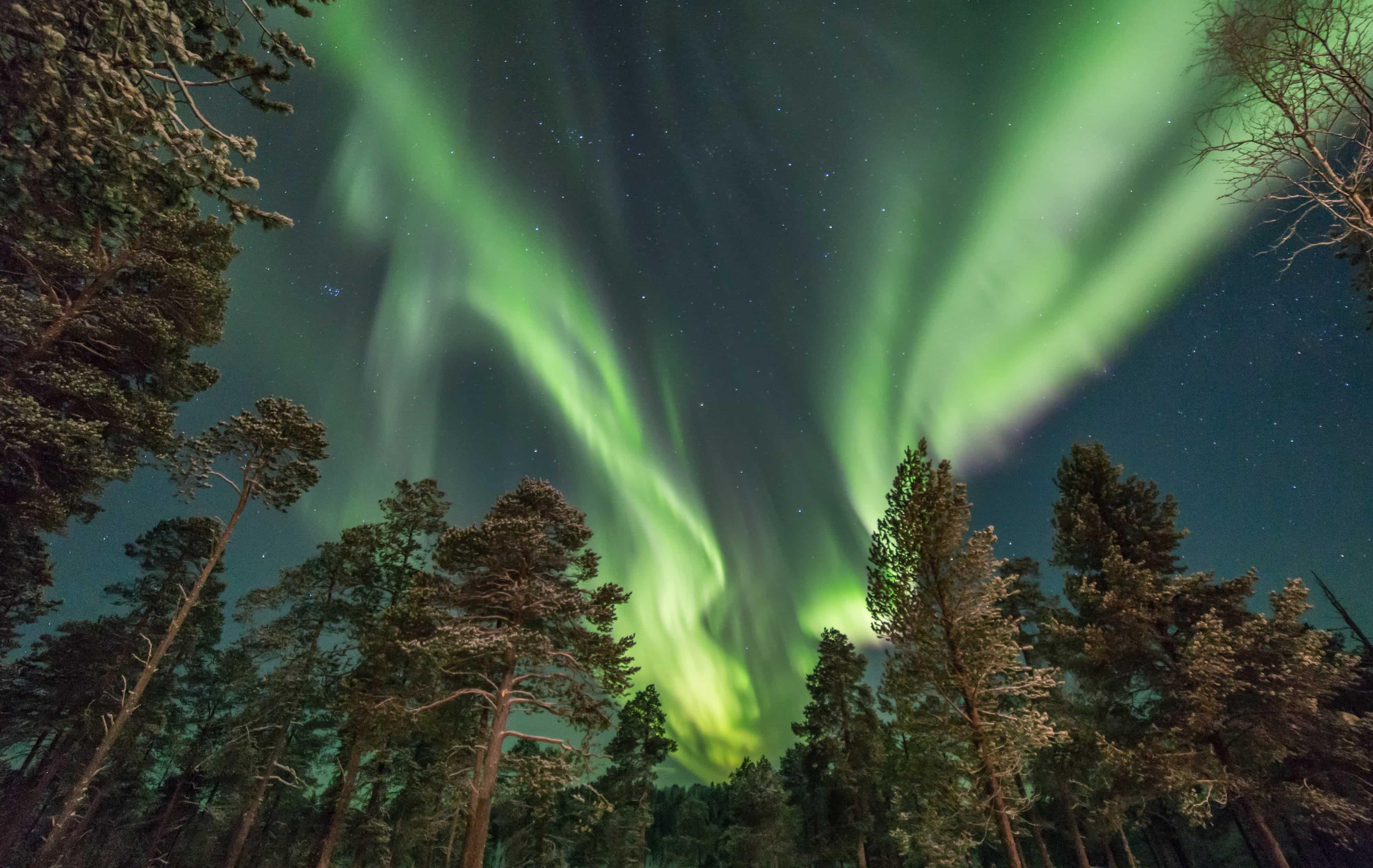 Arktis Tours Wilderness Hotel Muotka Polarlicht