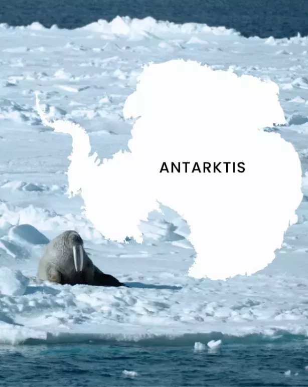 Arktis Tours - Destination Antarktis